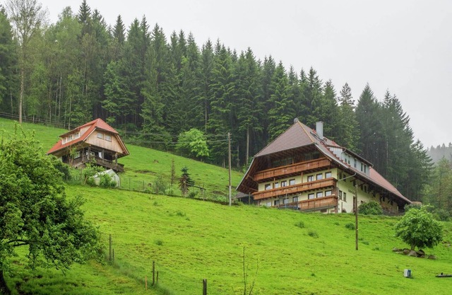 Apartment on a farm on the edge of the forest