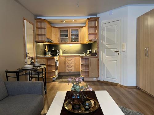 Apartment ØM3