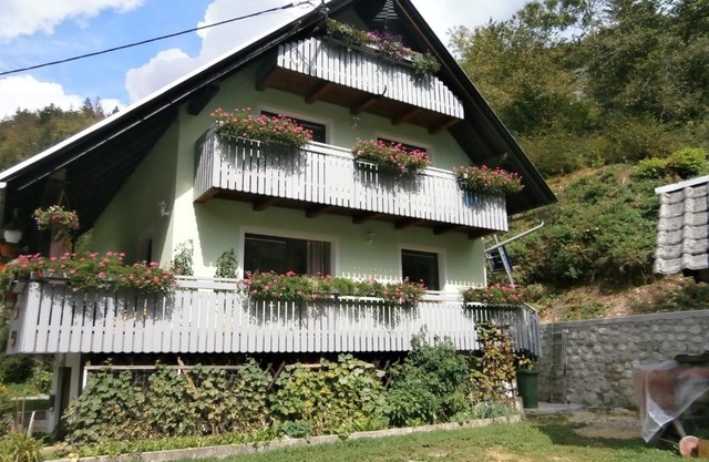 Apartment Žvan