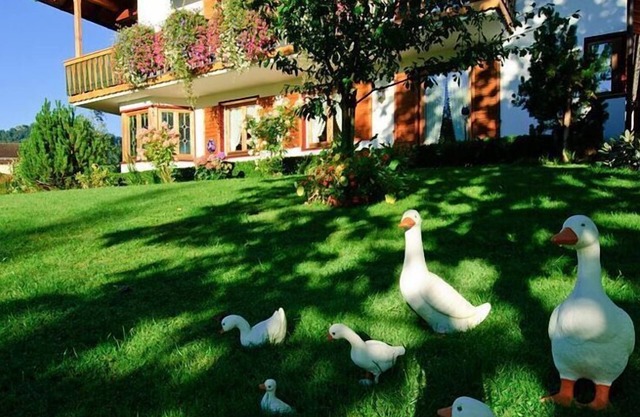 Apartment 1, 50sqm, balcony, kitchen, 1 bedroom and 1 living room, max. 4 pers., WLAN