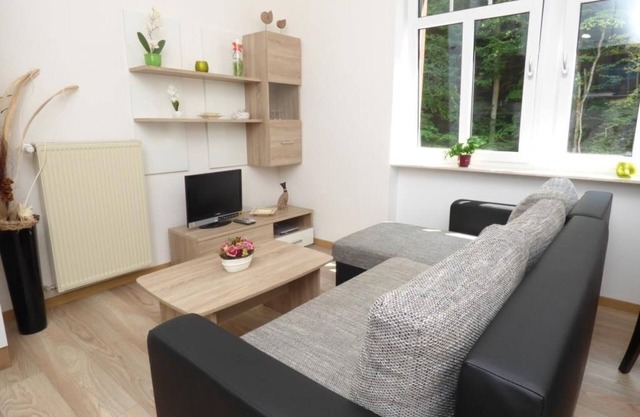 Apartment 1 bedroom - Wald Villa Üssbach