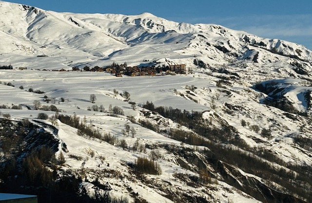 Apartment 100% ski in ski out (Les sybelles) 4 people