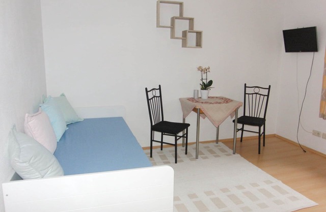 Apartment 21 m², 1 person, living room/bedroom, kitchenette, TV, WLAN
