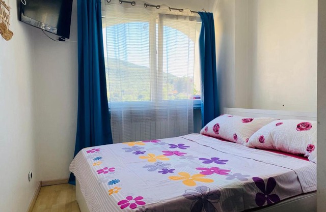 Apartment Alina