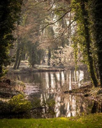 Apartment am Schlosspark