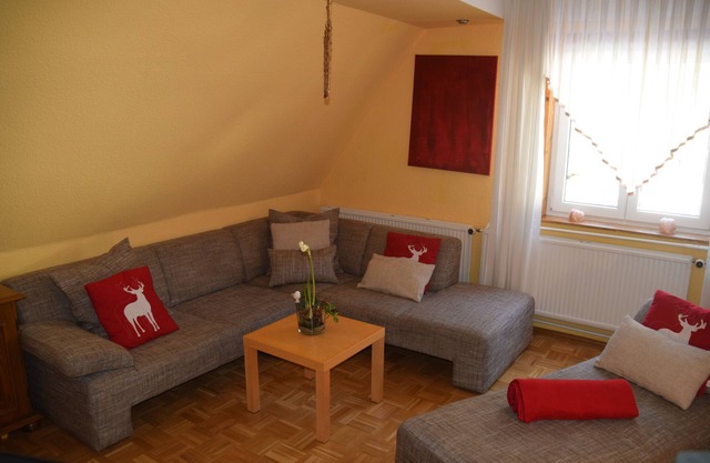 Apartment "ANGEL" 8 (10) pers. 4 bedrooms/2DU/WC/120m²/sauna/W-LAN Thür. Forest