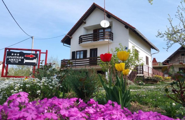 Apartment Ankica