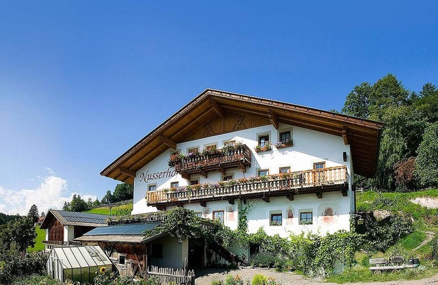 Apartment "Aster - Nusserhof" near the Skiing Area with Mountain Views & Balcony