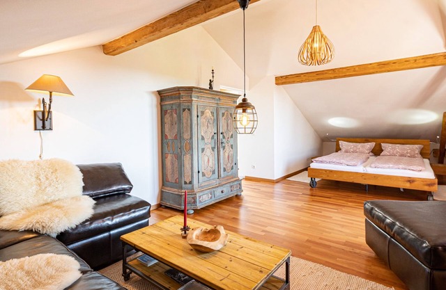 Apartment bedsitter with west-facing balcony, kitchenette, 50 sqm