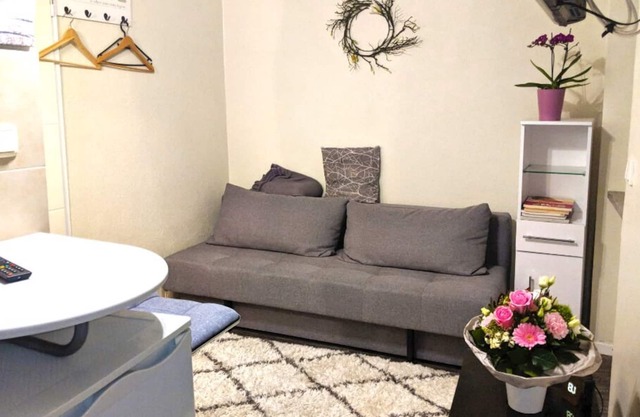 Apartment Bina 5min to the Moselle