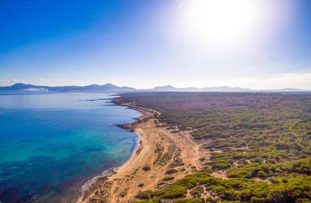 Apartment 'Blaumari' with Sea View, Wi-Fi and Air Conditioning