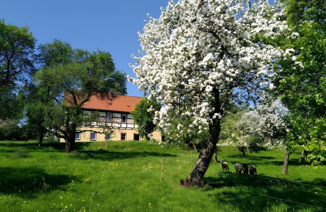 Apartment 'Böhme' with Mountain View, Private Terrace and Wi-Fi