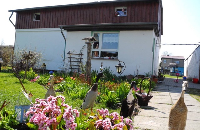 Apartment BoddenBlick - Apartment Boddenblick