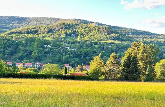 Apartment Burgblick in a quiet and central location in the villa district