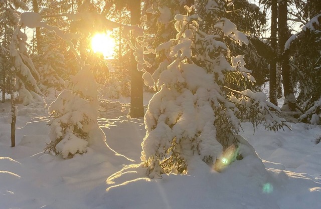 Apartment by Golf South Stockholm in Kallfors, Järna