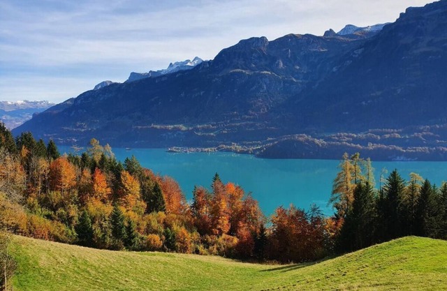 Apartment Chalet Beatrice Share