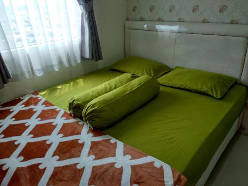Apartment comfy 2 BR Nerine