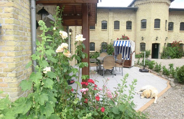 Apartment courtyard - Ferienhof Börsby - Apartment courtyard