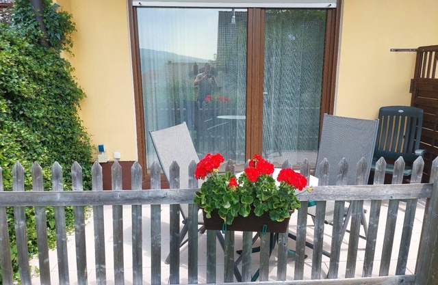 Apartment with two bedrooms and terrace