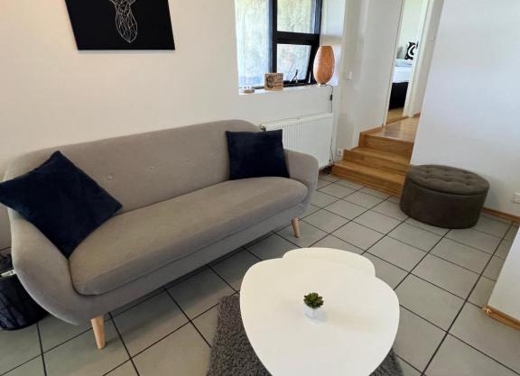 Apartment - Fíflholt