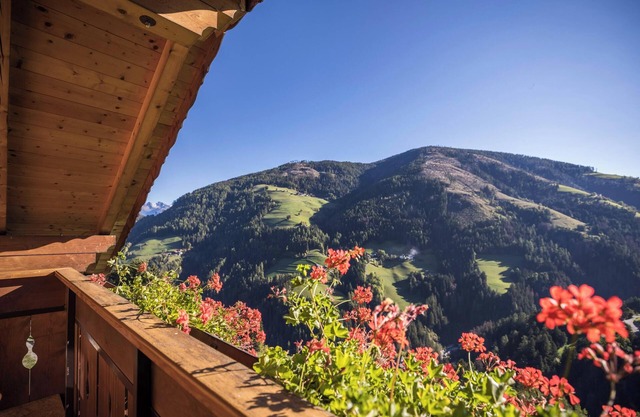 Apartment "Felderhof 1" Close to Ski Area with Mountain View, Garden, Terrace & Balcony