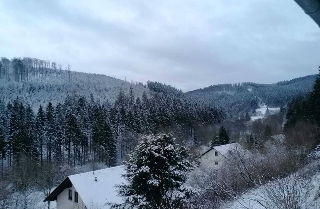 Apartment 'Ferienwohnung Wald-Ausblick' with Private Terrace and Balcony