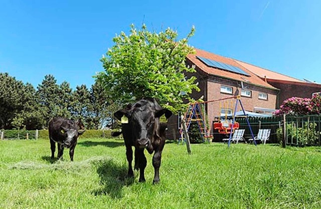 Apartment - Ferienhof Janssen