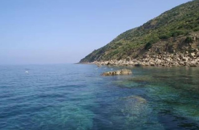 Apartment/flat - Agropoli
