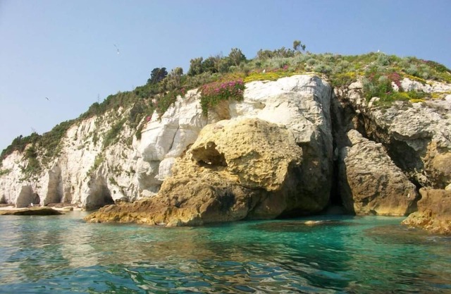 Apartment/flat - Portoferraio