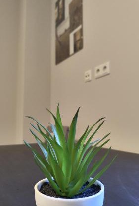 Apartment for 2 guests