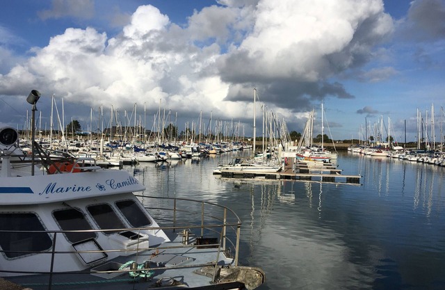 apartment on the port of Saint-Vaast-la-Hougue