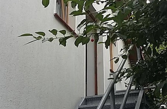 Apartment Franze