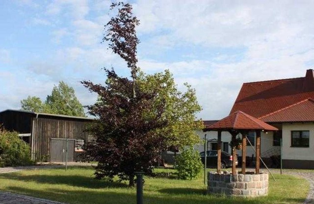 Apartment Gerswalde UCK 1081 - UCK 1081