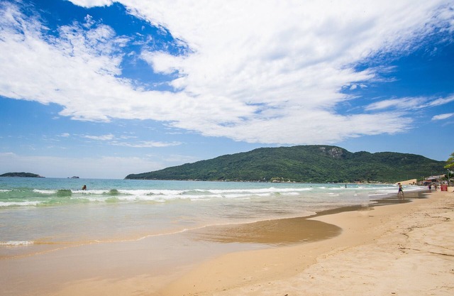 Apartment Good Vibes 300 meters from the Sea P935