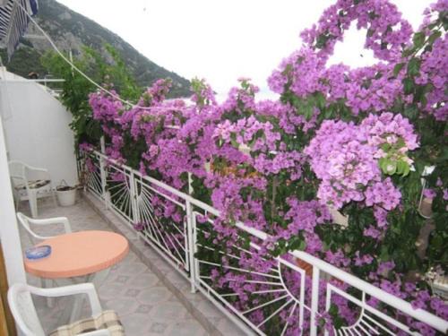 Apartment Graciela