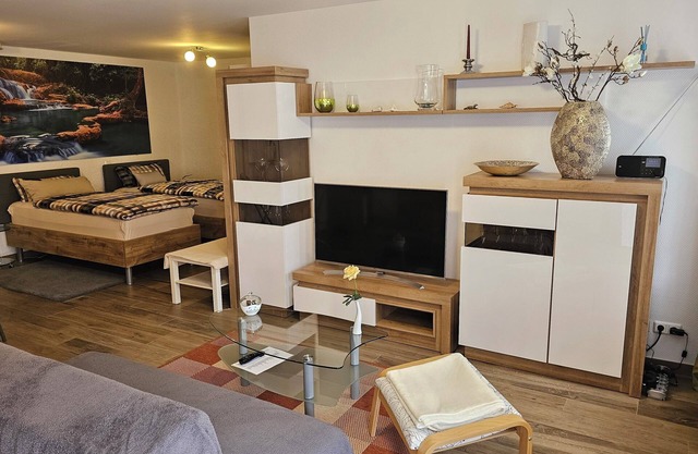 Apartment Halle Saale - beautiful modern furnished 1R-apartment for 1-3 pers.