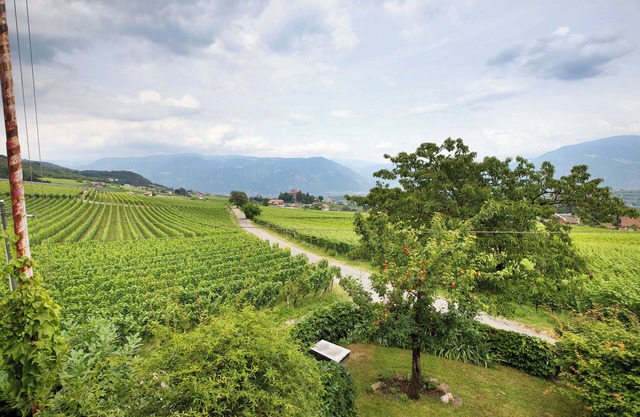 Apartment 'Harmony Apt 2' with Mountain View, Shared Garden and Wi-Fi