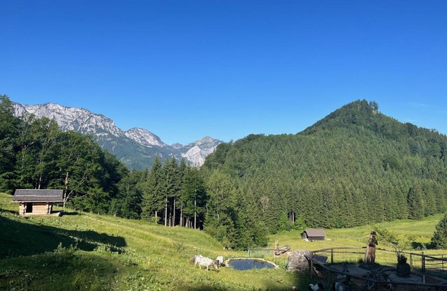 Apartment Hochsteinalm