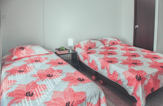 Apartment, Hot water, Wifi, Bathroom per bedroom.