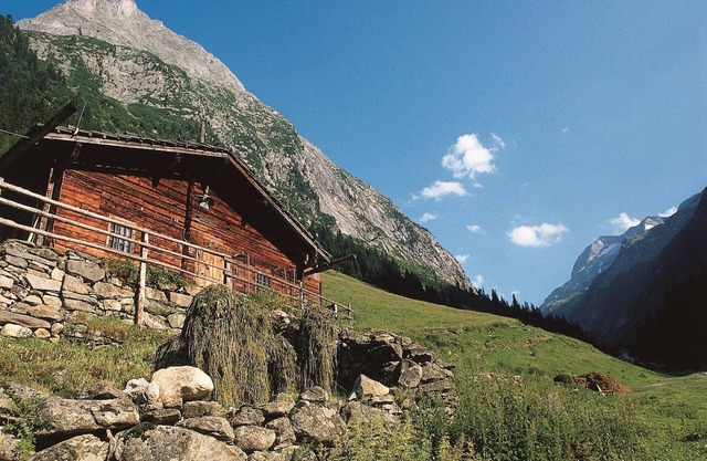 Apartment in Tirol, close to the ski slopes