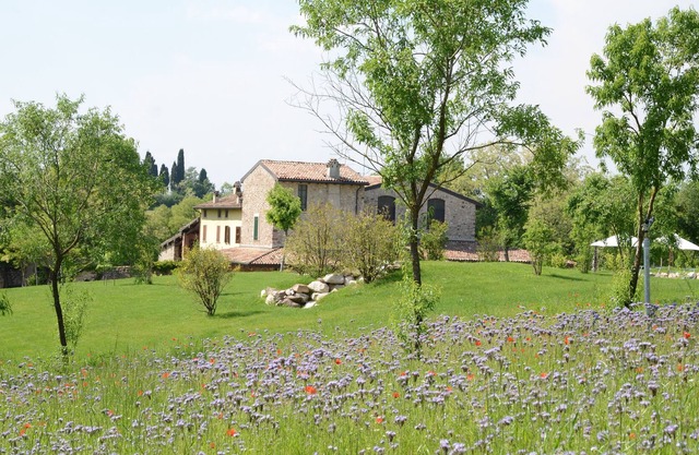 Apartment "I Barbasse Estate" with Garden & Wi-Fi