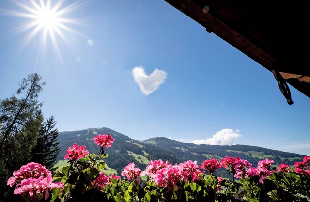 Apartment III- in the beautiful Landhaus Alpbach