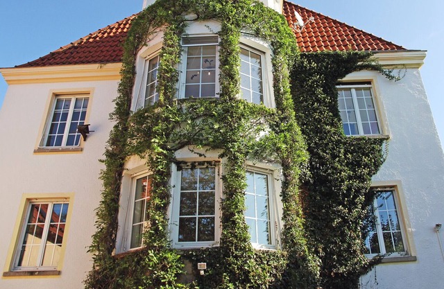 Apartment in a listed Art Nouveau villa