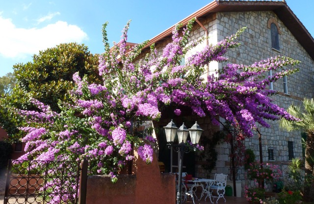 Apartment in a farmhouse between Terracina and Sperlonga