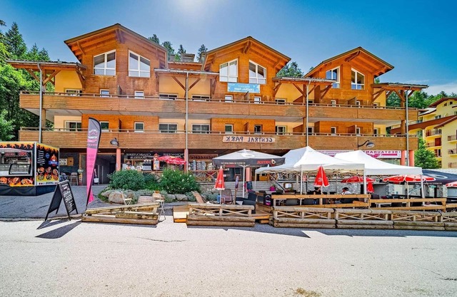 Apartment in Alps near Ski Slopes