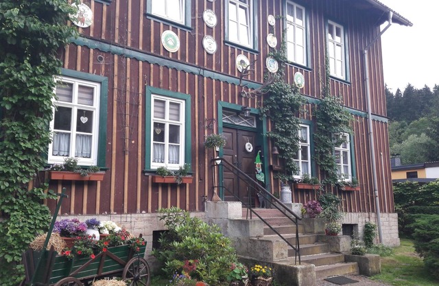 Apartment in the old forest house with pellet fireplace, located directly on the Bode.