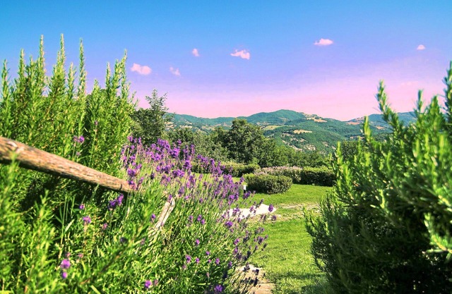 Apartment in Farm House in the poppies close to Assisi