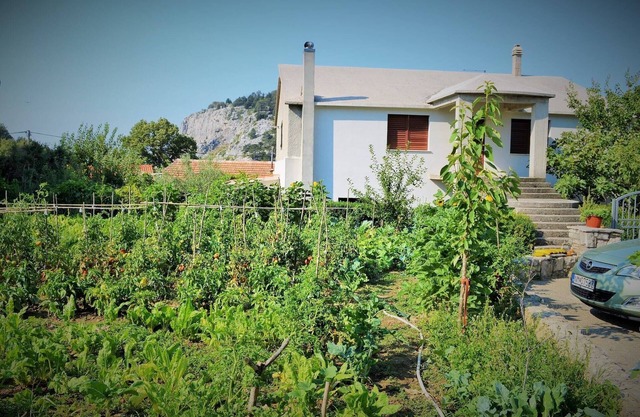 Apartment in Gata near Adriatic Sea