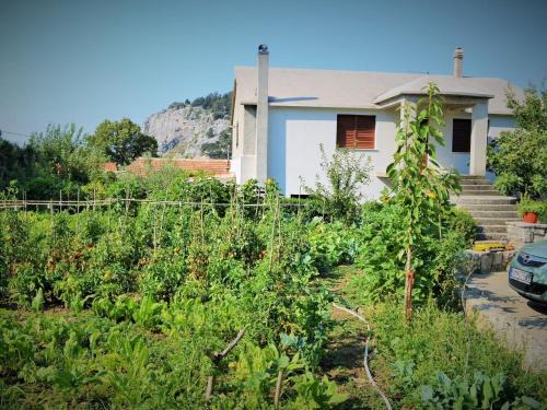 Apartment in Gata near Adriatic Sea