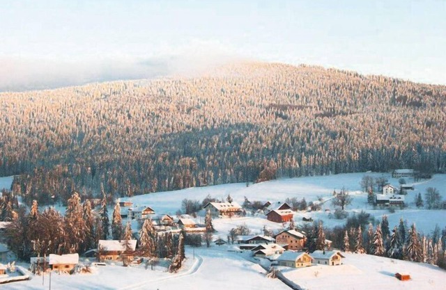 Apartment in Haidmühle in a beautiful area